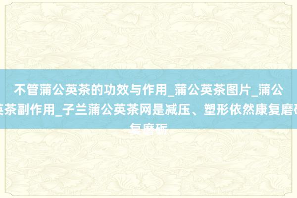 不管蒲公英茶的功效与作用_蒲公英茶图片_蒲公英茶副作用_子兰蒲公英茶网是减压、塑形依然康复磨砺